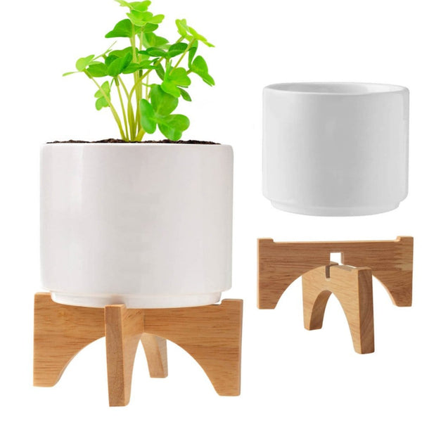 Add Your Logo: Mod Vibes Ceramic Planter Kit