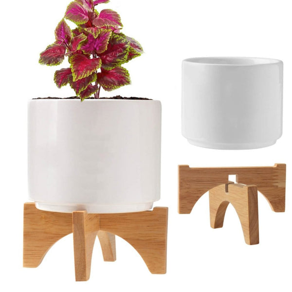 Add Your Logo: Mod Vibes Ceramic Planter Kit