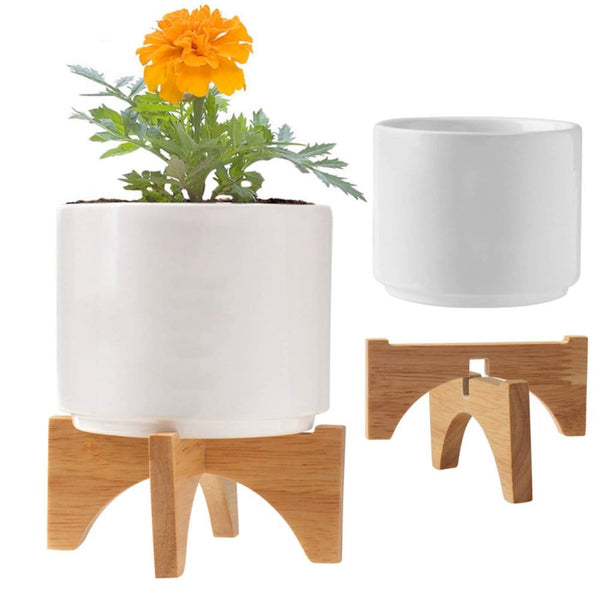 Add Your Logo: Mod Vibes Ceramic Planter Kit