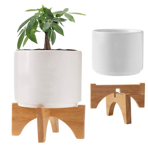 Add Your Logo: Mod Vibes Ceramic Planter Kit