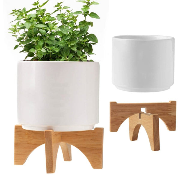 Add Your Logo: Mod Vibes Ceramic Planter Kit