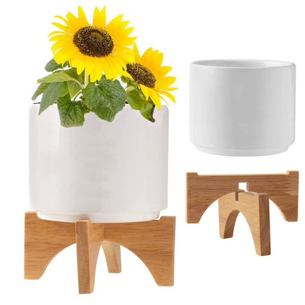 Add Your Logo: Mod Vibes Ceramic Planter Kit