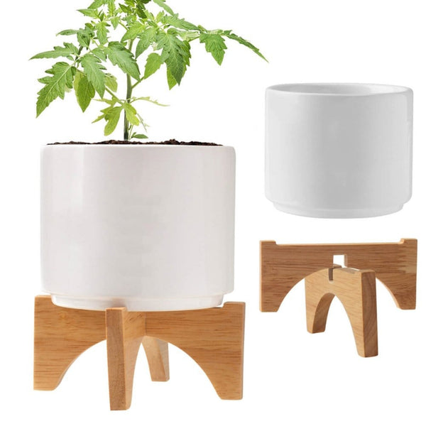 Add Your Logo: Mod Vibes Ceramic Planter Kit
