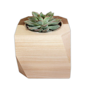 Add Your Logo: Geometric Wood Planter with Succulent