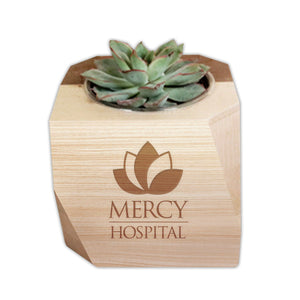 Add Your Logo: Geometric Wood Planter with Succulent