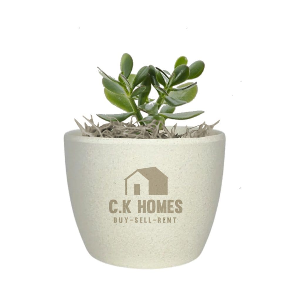 buy pots for plants Add Your Logo: Recycled Planter Pot with Succulent