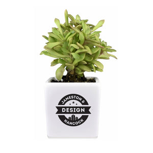 Add Your Logo: Ceramic Planter Pot with Succulent