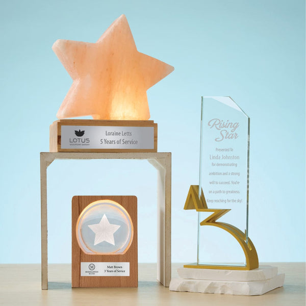 3D Etched Glowing Globe Award - Star