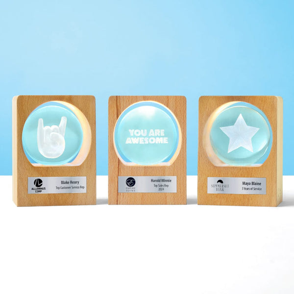 3D Etched Glowing Globe Award - Star