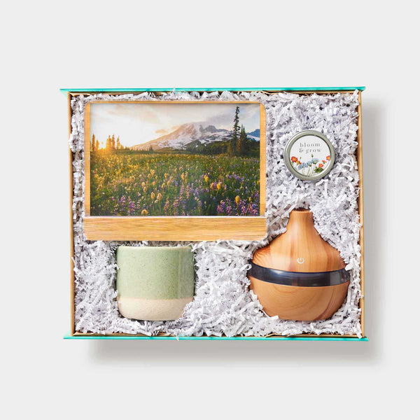 Delightly: Bloom & Grow Kit