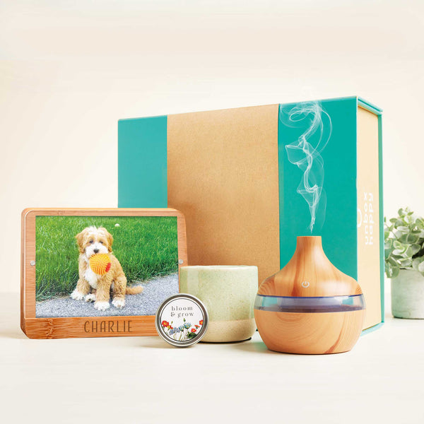 Delightly: Bloom & Grow Kit