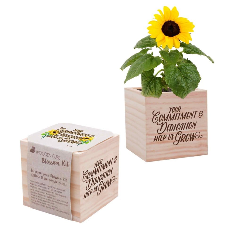plant seeds of gratitude Appreciation Plant Cube - Your Commitment & Dedication