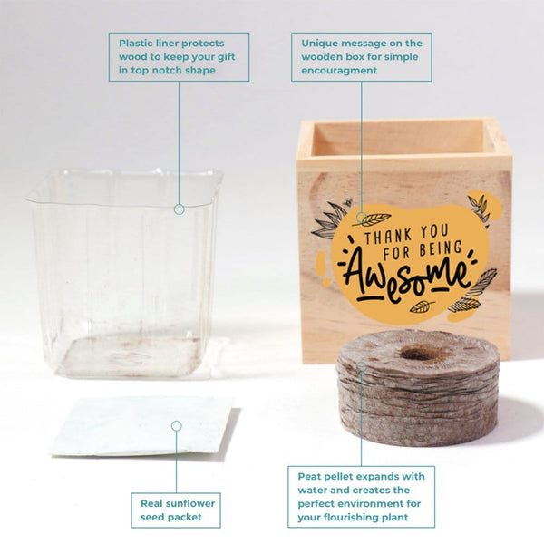 Appreciation Plant Cube- Thank You for Being Awesome