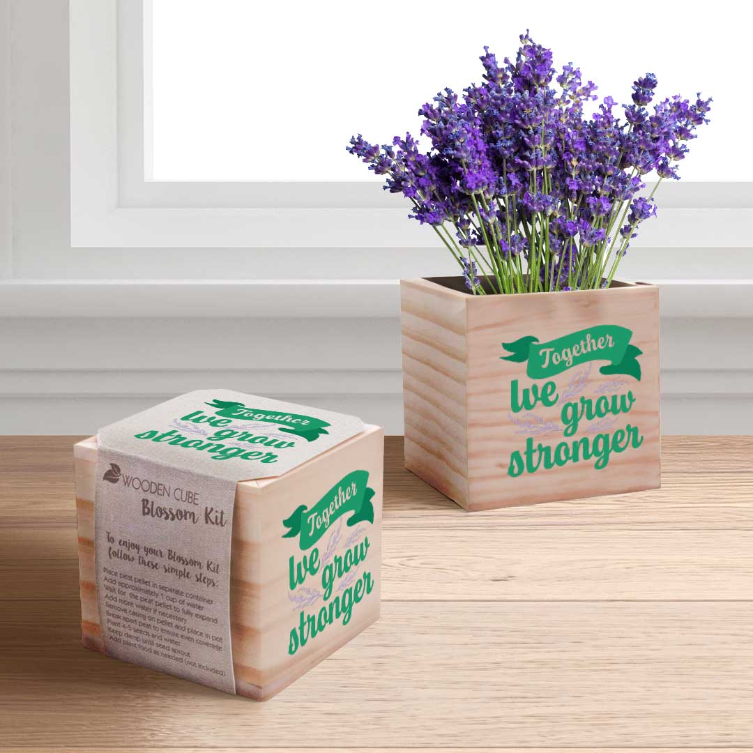 lavender planting kit Growing Gratitude Plant Kit - Grow Stronger Lavender