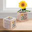 Growing Gratitude Plant Kit - Growth is a Journey Sunflower