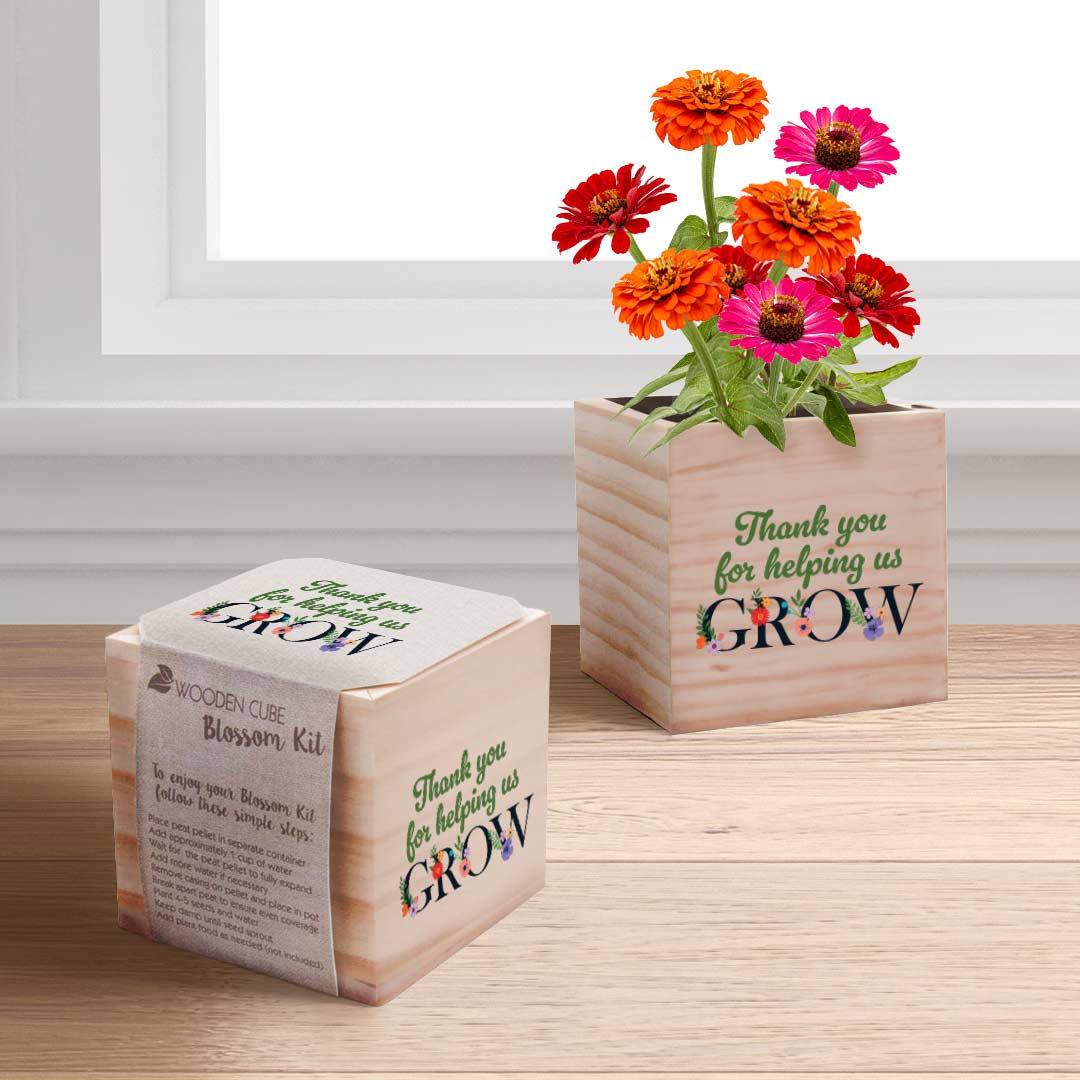 send prayer plant as gift Growing Gratitude Plant Kit - Thank You Zinnia