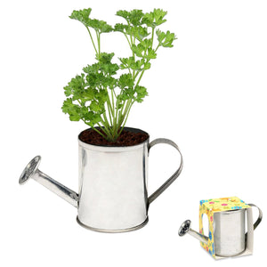 Add Your Logo: Watering Can Planter