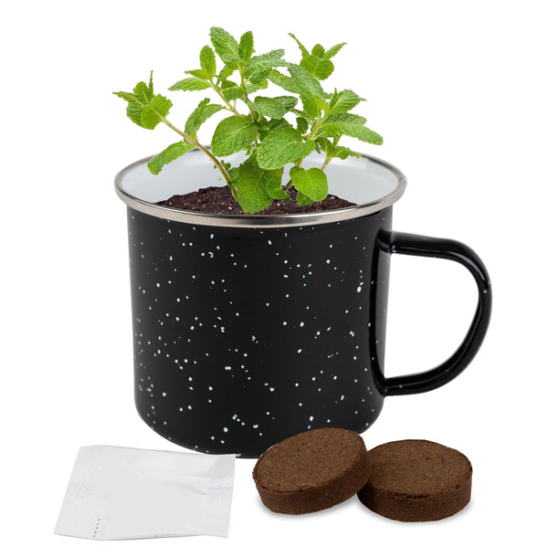 Add Your Logo: Sip N Seed Grow Kit