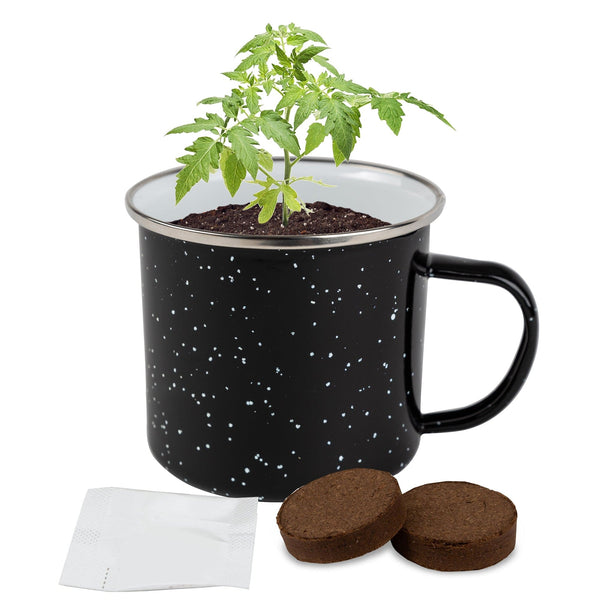 Add Your Logo: Sip N Seed Grow Kit