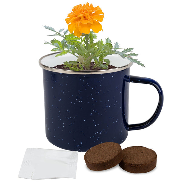 Add Your Logo: Sip N Seed Grow Kit