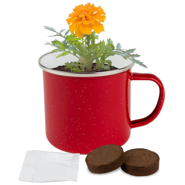 Add Your Logo: Sip N Seed Grow Kit