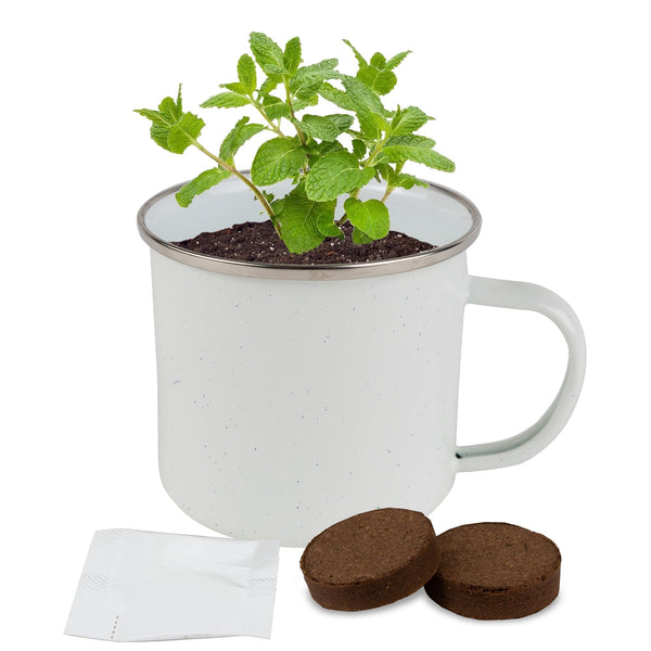 Add Your Logo: Sip N Seed Grow Kit