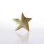 Lapel Pin - Gold Star