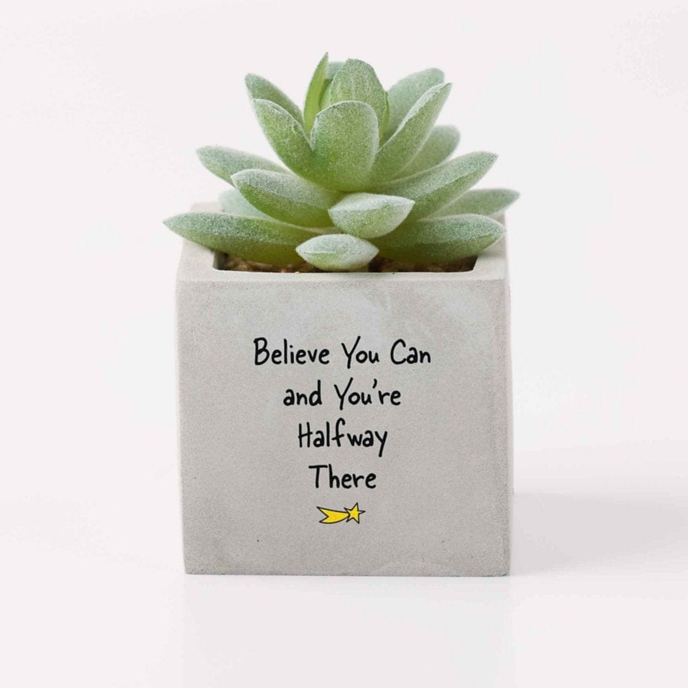 small potted fake succulents Office Vibes Mini Potted Faux Succulents - Believe You Can