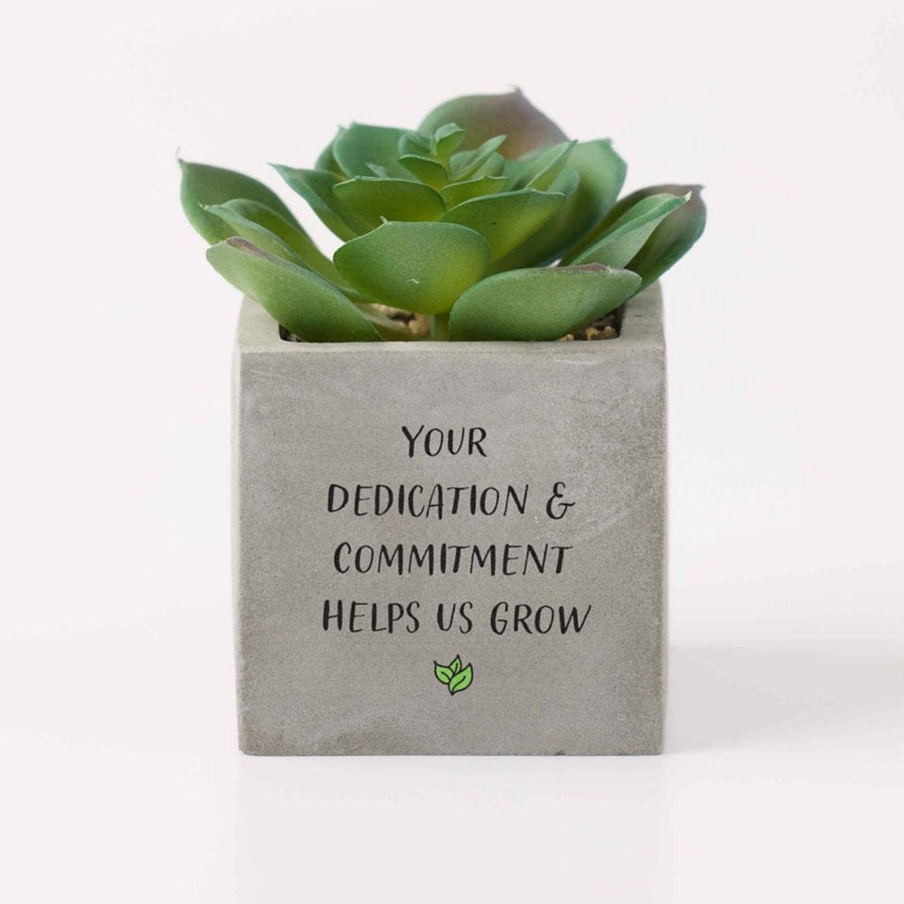 mini potted artificial succulents Office Vibes Mini Potted Faux Succulents - Dedication