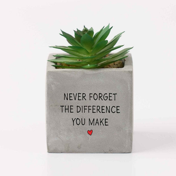 Office Vibes Mini Potted Faux Succulents - Difference