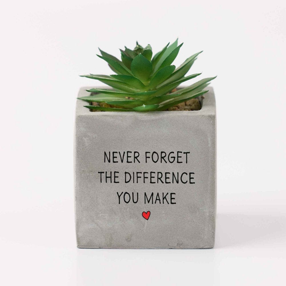 fake succulents potted Office Vibes Mini Potted Faux Succulents - Difference