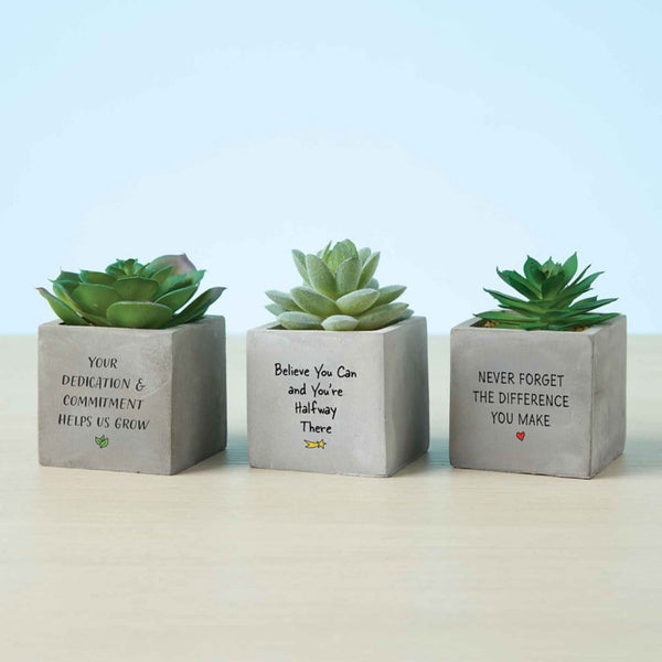 Office Vibes Mini Potted Faux Succulents - Difference