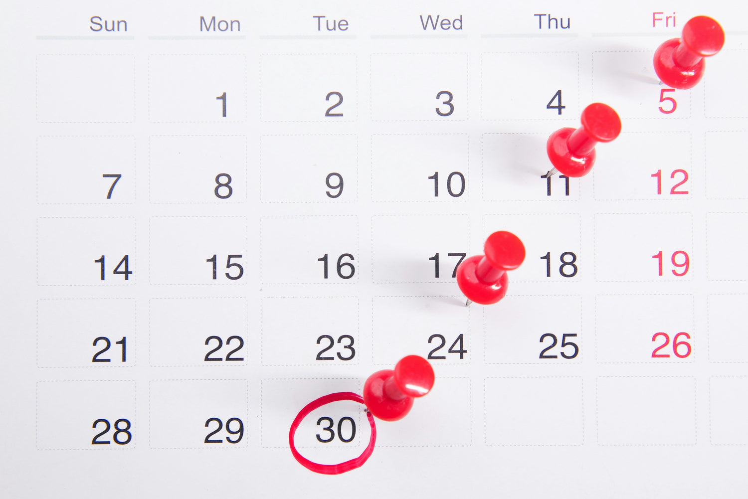 14 Summer Holidays and Events to Celebrate