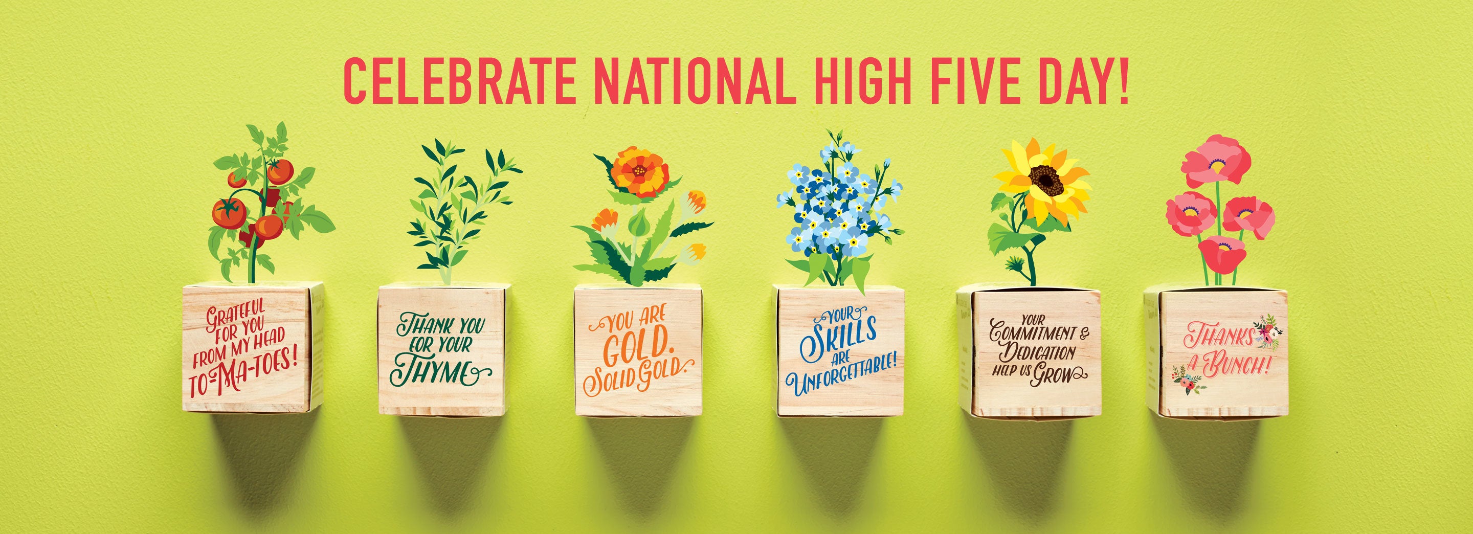 National High Five Day 2021