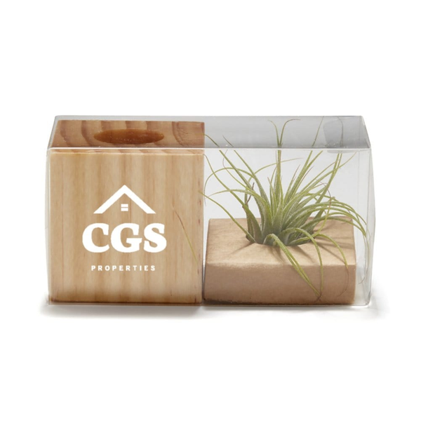 Add Your Logo: Perfect Air Planter
