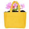 Add Your Logo:  Sprout It Out Tote Plant Set
