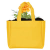 Add Your Logo:  Sprout It Out Tote Plant Set