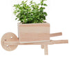 Add Your Logo: Wooden Wheel Barrow Blossom Kit