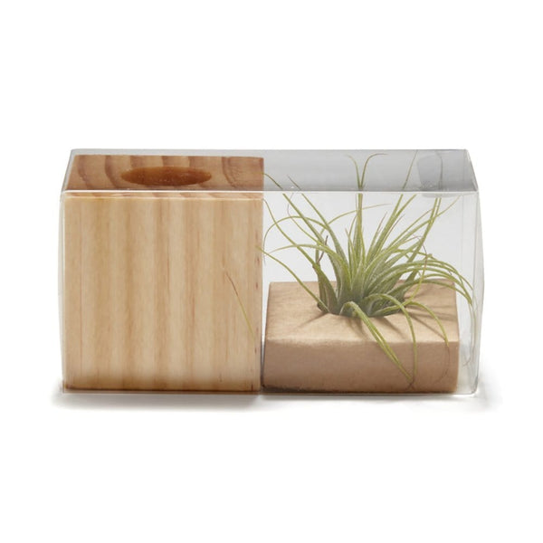 Add Your Logo: Perfect Air Planter