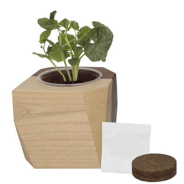 Add Your Logo: Modern Wooden Planter