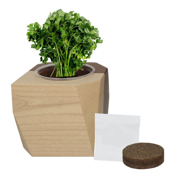 Add Your Logo: Modern Wooden Planter