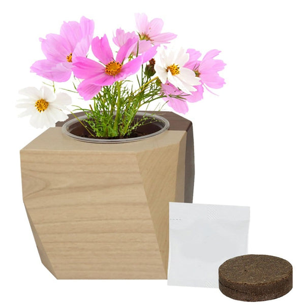 Add Your Logo: Modern Wooden Planter