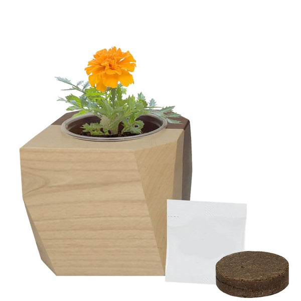 Add Your Logo: Modern Wooden Planter