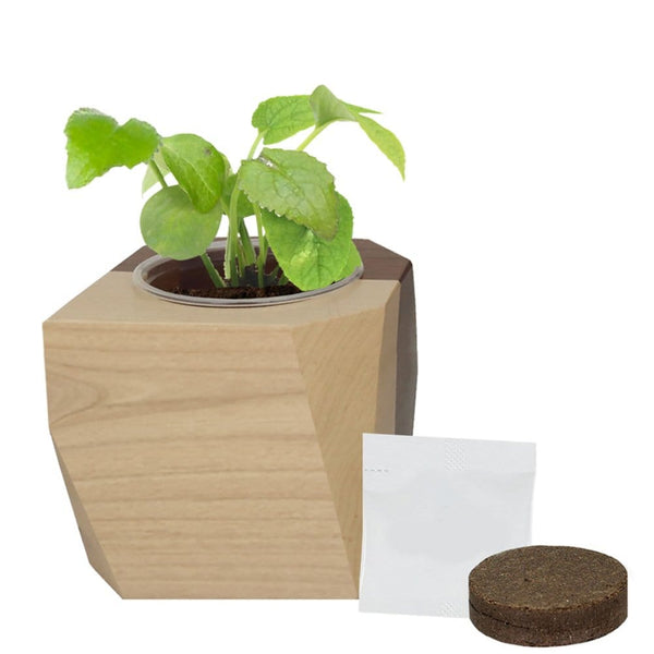 Add Your Logo: Modern Wooden Planter