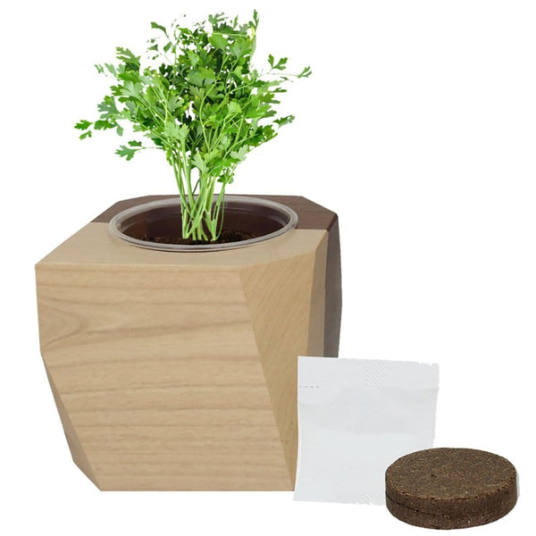 Add Your Logo: Modern Wooden Planter