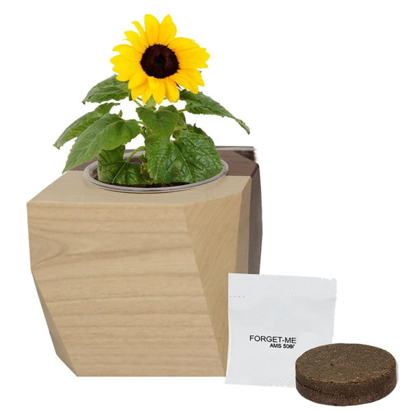 Add Your Logo: Modern Wooden Planter