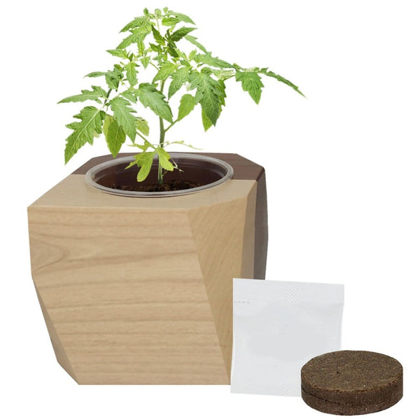 Add Your Logo: Modern Wooden Planter