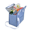 Add Your Logo: Recycled Cooler Bag