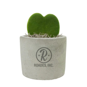 Add Your Logo: Mini Mod Planter with Succulent