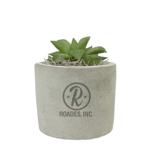 Add Your Logo: Mini Mod Planter with Succulent